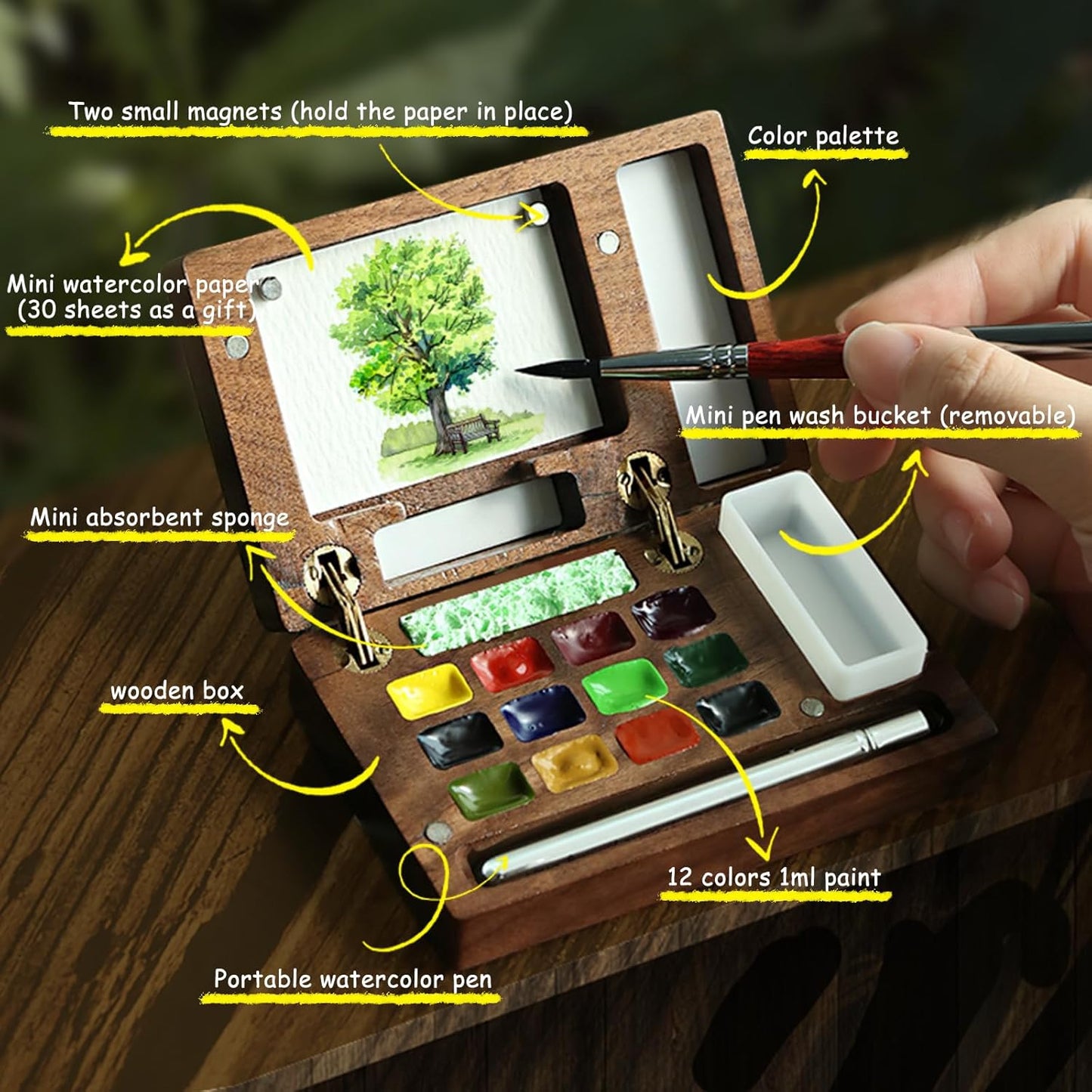MEI COLOUR Portable Mini Watercolor Paint Set for Adult Artists – Wooden Pocket 12-Color Travel Kit